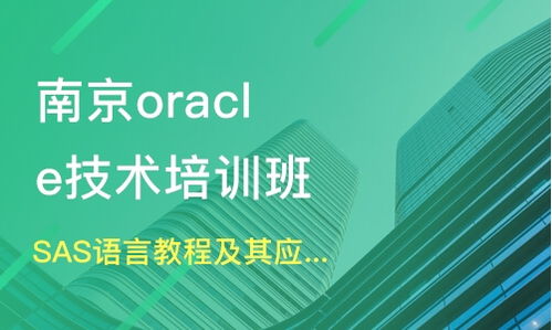 南京玄武區(qū)Oracle培訓(xùn)機(jī)構(gòu)選擇指南 課程排名與OCP認(rèn)證培訓(xùn)分析