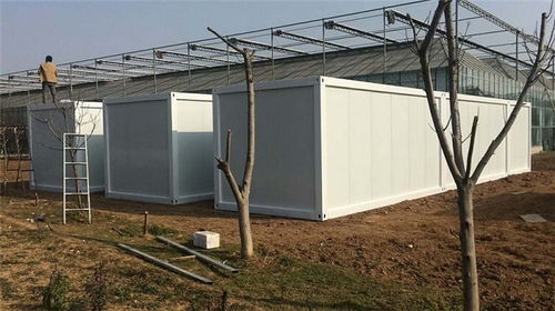 拼裝箱框架批發與租賃指南 邢臺、文安地區的優選方案